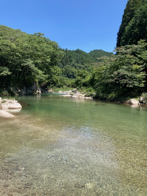 image4