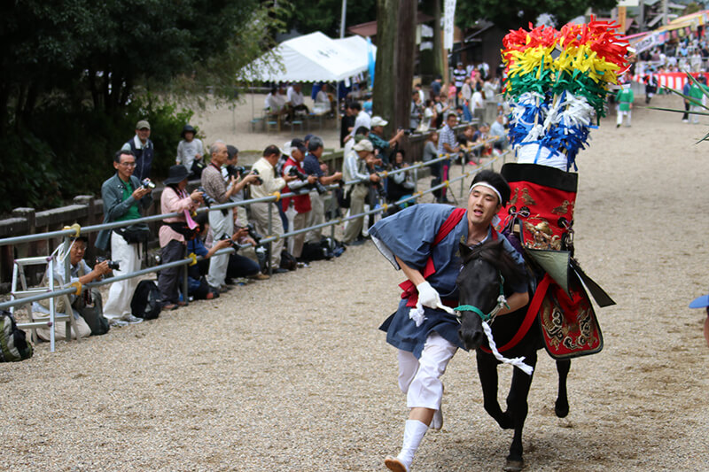 %e6%b5%81%e9%8f%91%e9%a6%ac5