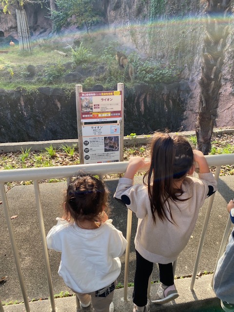 %e3%83%a9%e3%82%a4%e3%82%aa%e3%83%b31