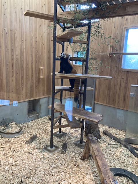 %e3%83%ac%e3%83%83%e3%82%b5%e3%83%bc%e3%83%91%e3%83%b3%e3%83%802