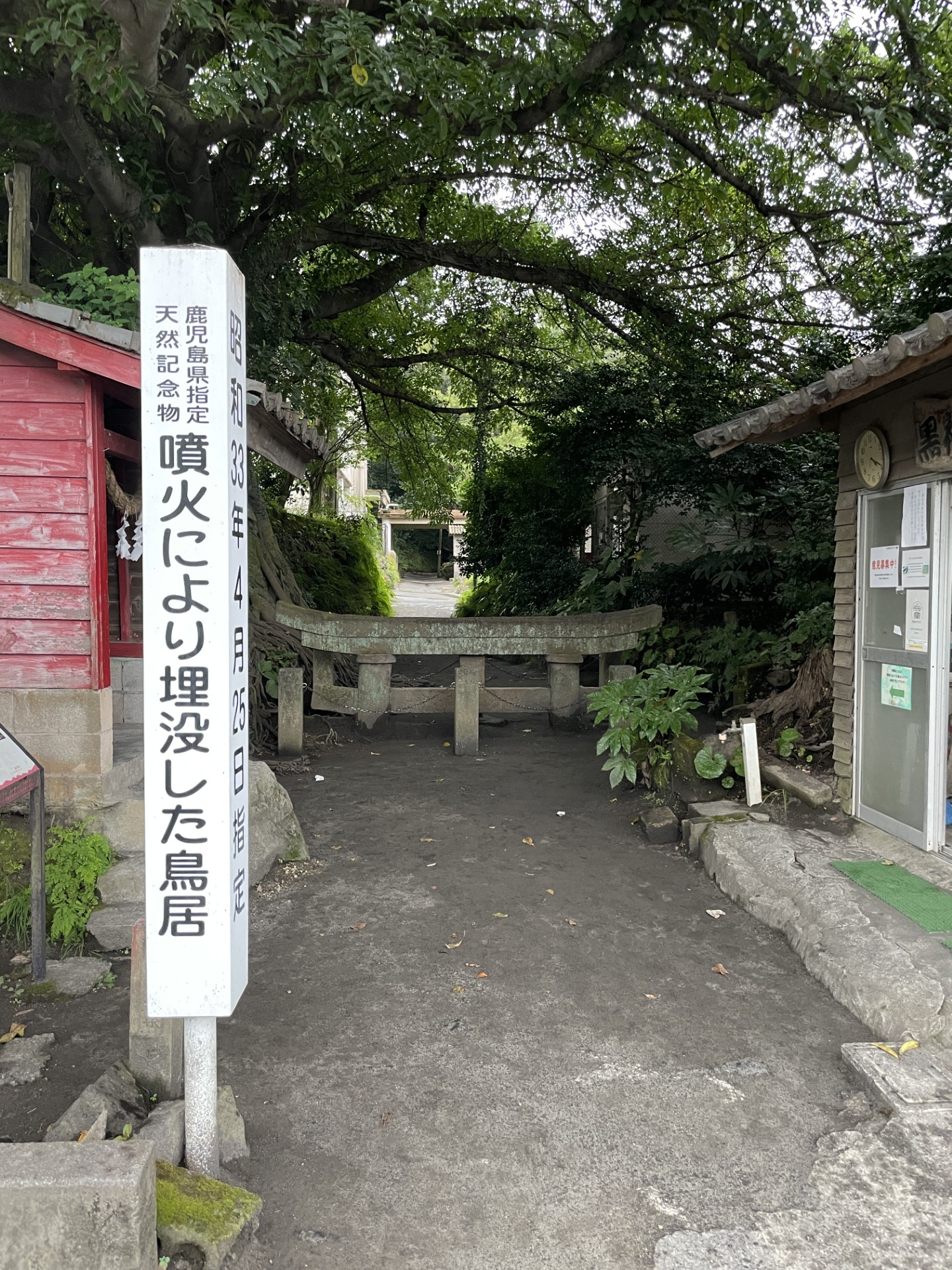 %e9%bb%92%e7%a5%9e%e5%9f%8b%e6%b2%a1%e9%b3%a5%e5%b1%85-5