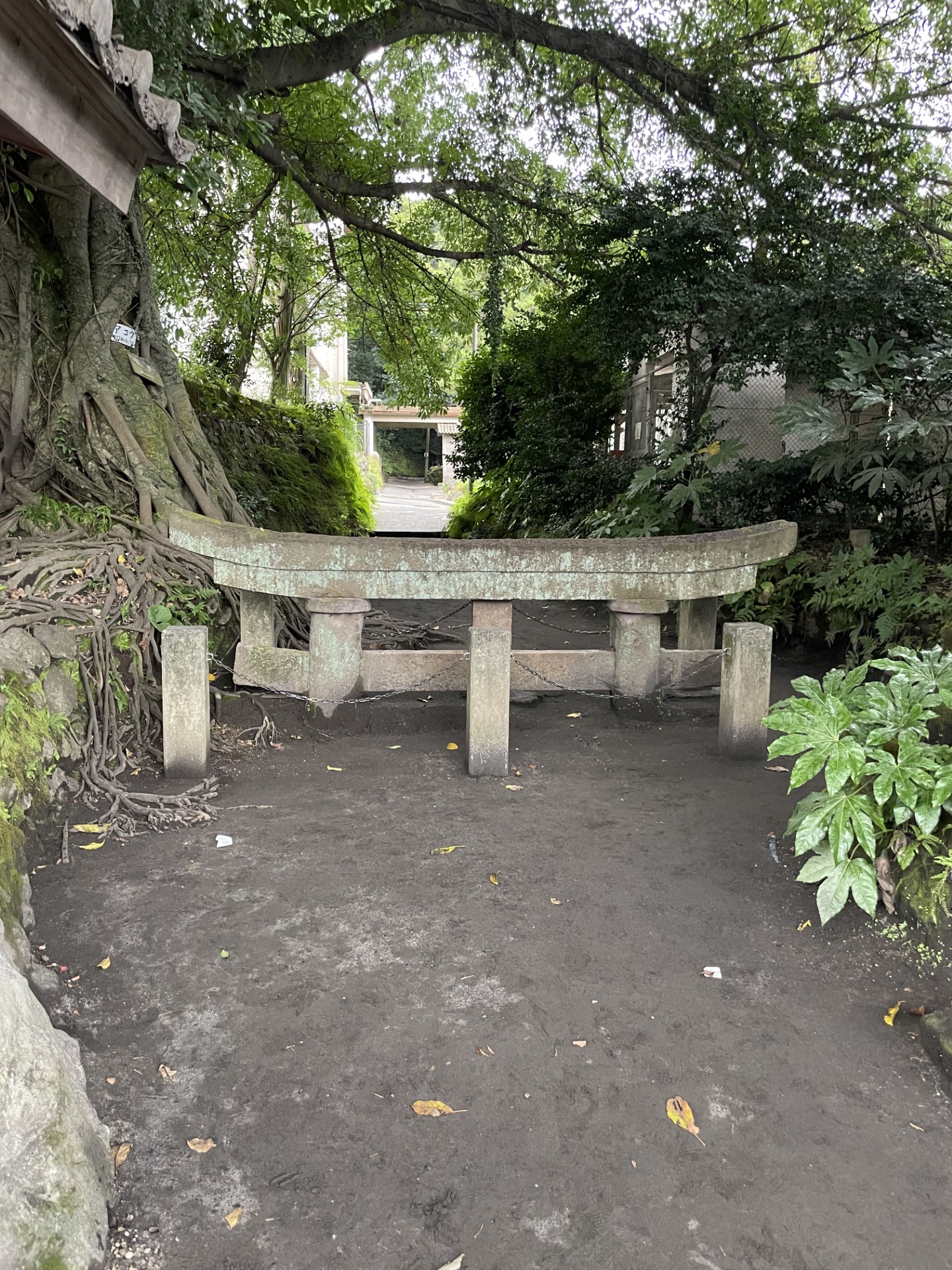 %e9%bb%92%e7%a5%9e%e5%9f%8b%e6%b2%a1%e9%b3%a5%e5%b1%85-1