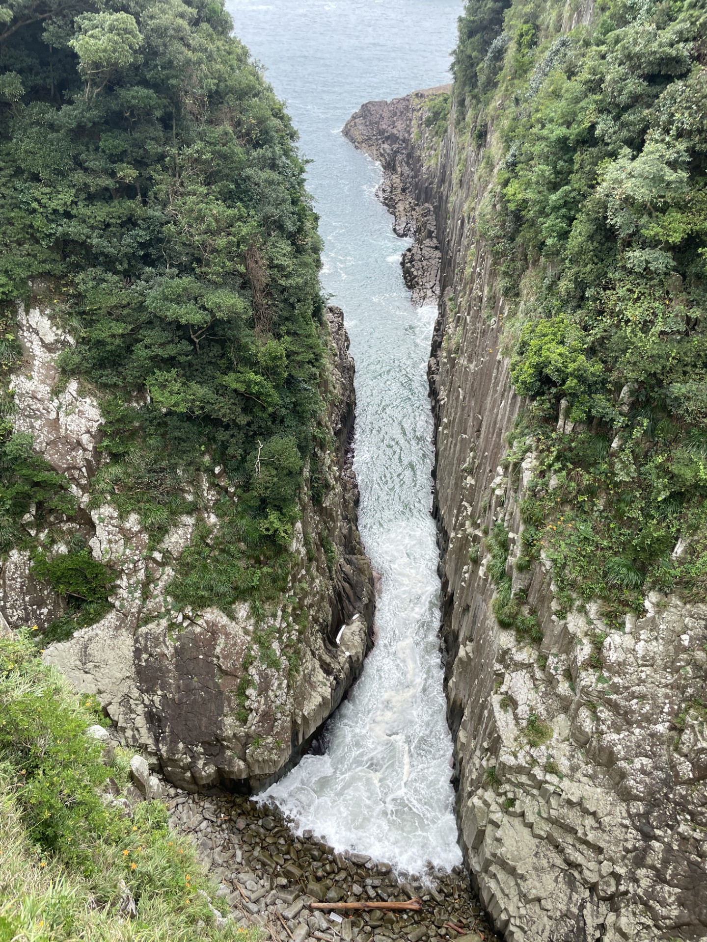 %e6%97%a5%e5%90%91%e5%b8%82%e9%a6%ac%e3%83%b6%e8%83%8c-1