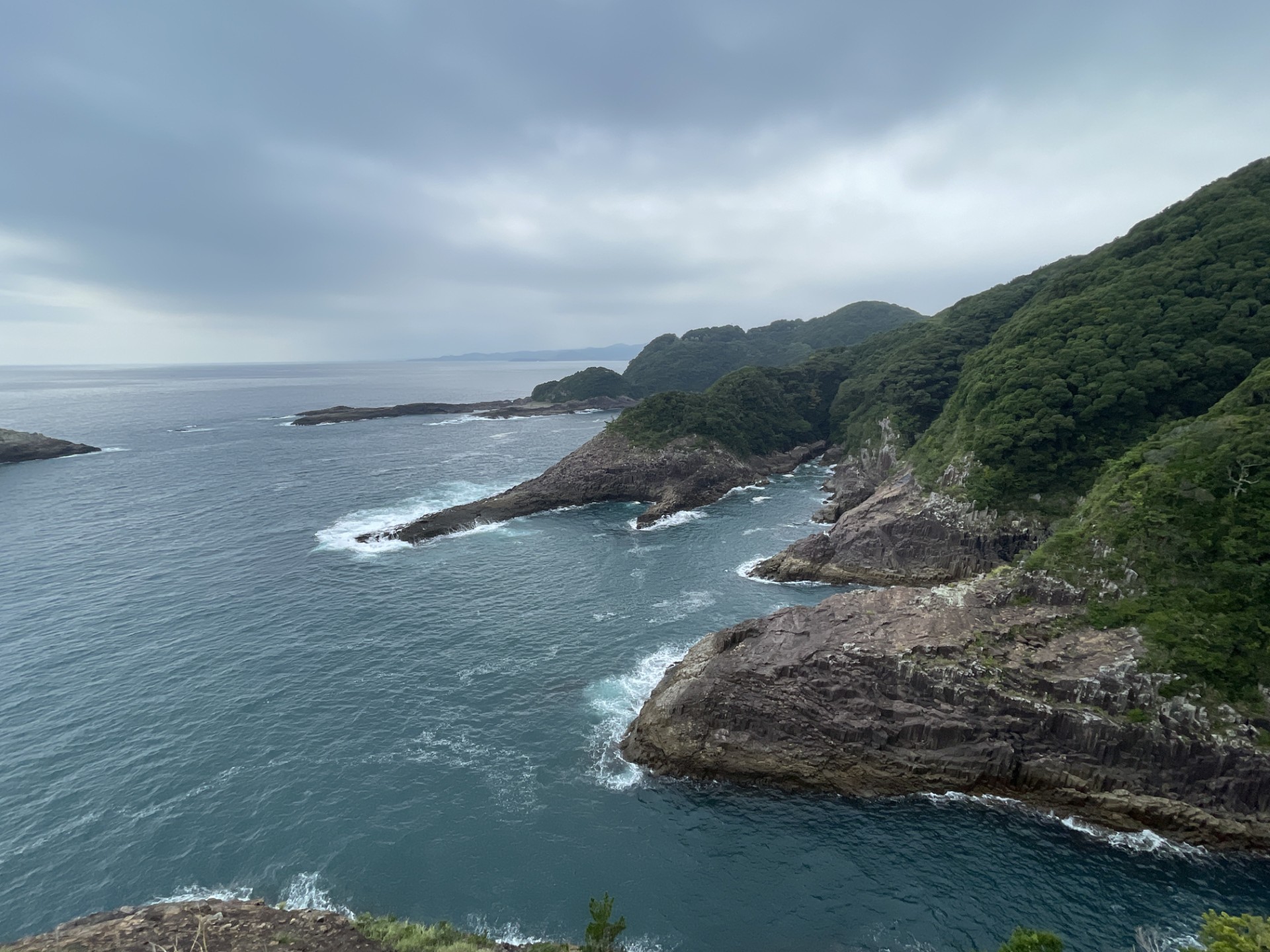 %e6%97%a5%e5%90%91%e5%b8%82%e9%a6%ac%e3%83%b6%e8%83%8c-2