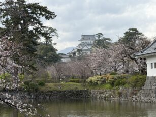 img_7839