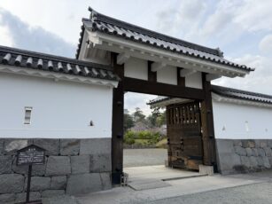 img_7844