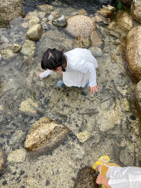image21
